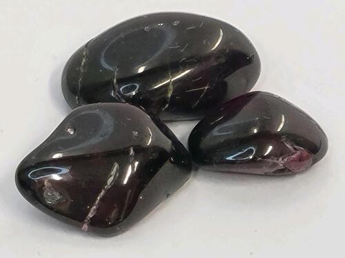 24.10ct Natural Idaho Star Garnets, Tumbled & Polished, Gemstones - 3