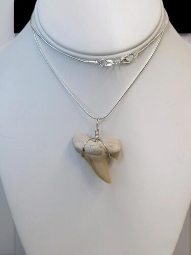 SandTiger Shark Tooth Fossil Necklace