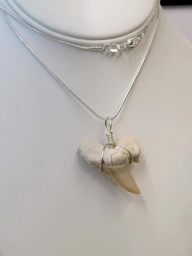 SandTiger Shark Tooth Fossil Necklace - 2