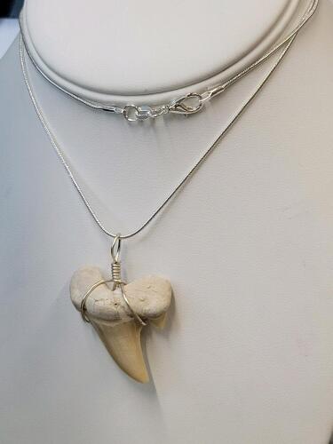 SandTiger Shark Tooth Fossil Necklace - 3