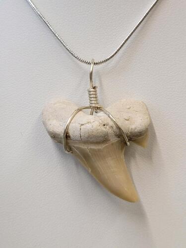 SandTiger Shark Tooth Fossil Necklace - 4