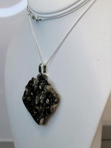 97.50ct Natural Turritella Agate Slab w/ Embedded Fossilized Snails on 24" Necklace - 3