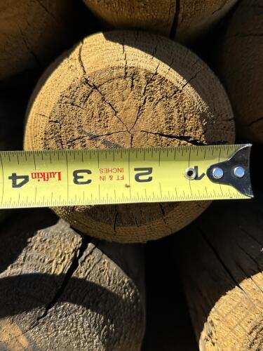 Bundle of 6 ft Pressure Treated Round Wood Fence Posts, 4-in Diameter, Pointed Ends - 6