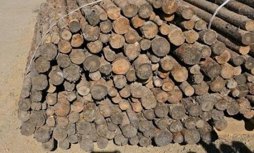 8.5 ft Wooden Fence Posts Bundle &ndash; Approx. 120 Logs, Various Diameter, Untreated, Bark On - 2