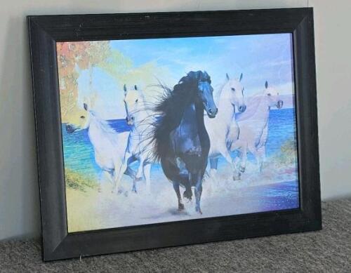 Vivid Framed Animal Art Prints & Misc. Decor Items - 7