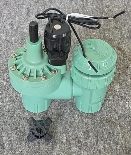 Orbit 57623 3/4" Anti-Siphon & Rain Bird CP075 3/4" In-Line Irrigation Control Valves Bundle - 12