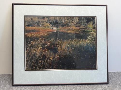 Linda Dufurrena Framed Nevada Landscape Photography Prints