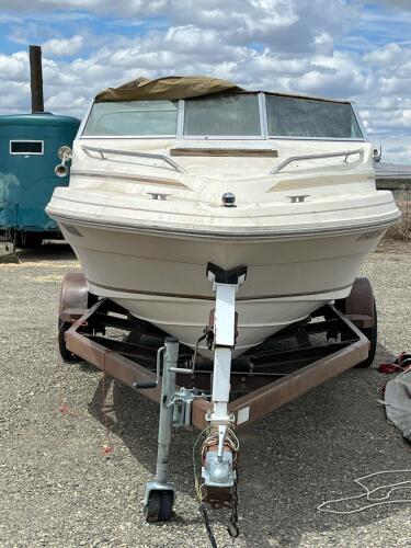 1984 18.6&rsquo; SEA RAY BOAT & TRAILER - 6