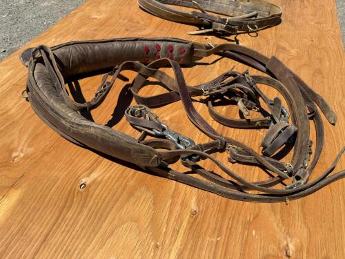 Full size horse buggy two wheel cart with full size horse harness - 6