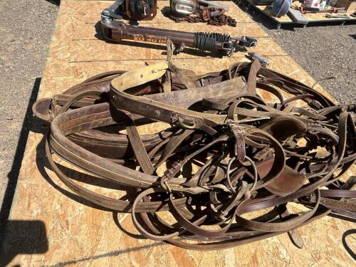Full size horse buggy two wheel cart with full size horse harness - 9