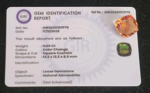 11.60ct Natural Color Changing Alexandrite Faceted Cushion Cut Gemstone