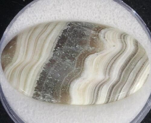 24.85ct Natural Striped Zebra Jasper Cabochon Gemstone