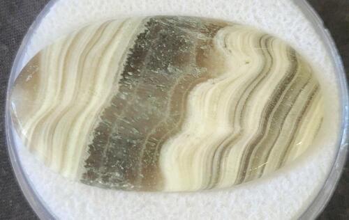 24.85ct Natural Striped Zebra Jasper Cabochon Gemstone - 3