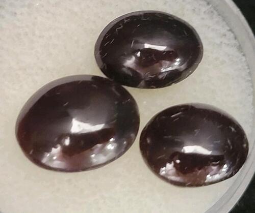 23.65ct Natural 3 Piece Set Idaho Star Garnet Gemstone Cabochons