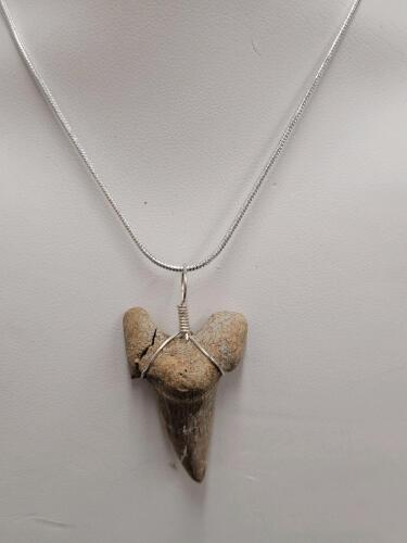 Sand Tiger Shark Tooth Fossil Necklace - 3