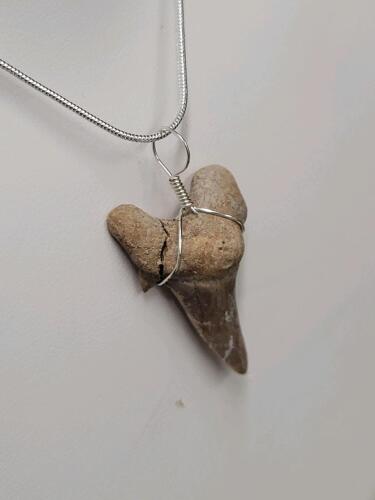 Sand Tiger Shark Tooth Fossil Necklace - 4