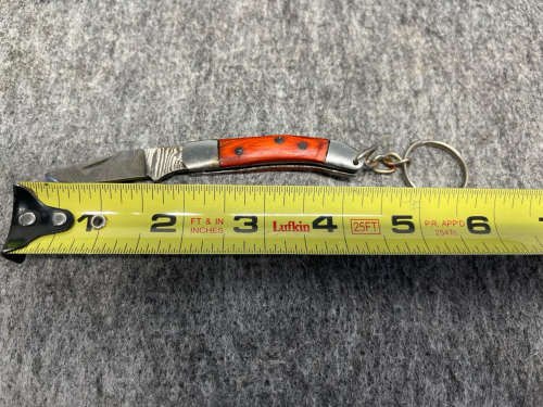Small Folding Keychain Pocket Knife - 3
