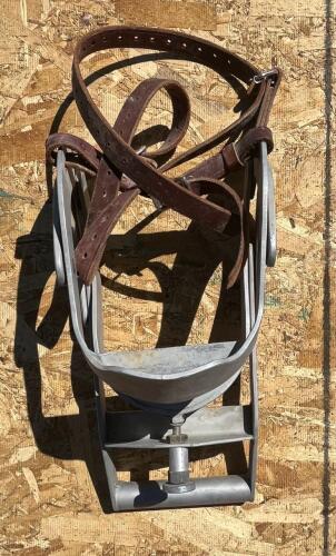 Equine Dental Examiner - 3