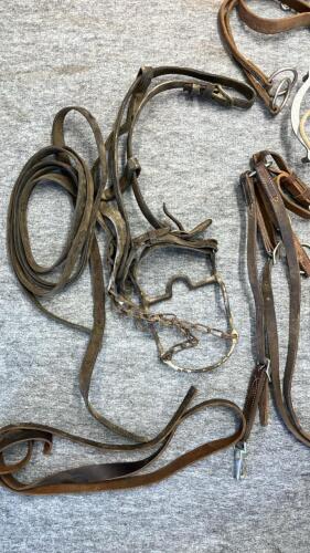 Tote Of Misc. Horse Tack - 6