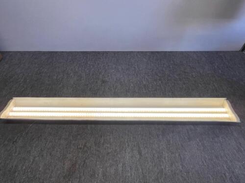 Gasoline Cans, Screws, Lights & More! - 4