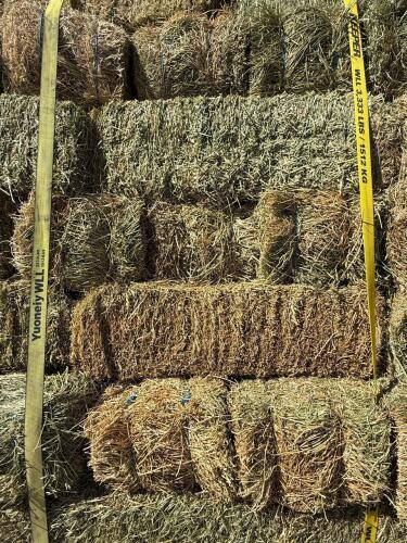 (30) Hay Bales - Baled 2025 Summer - avg 45-75lbs per bale - 6