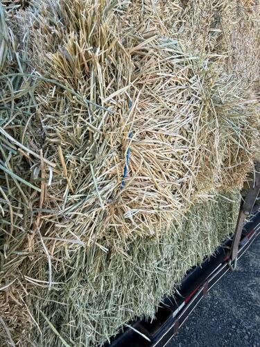 (30) Hay Bales - Baled 2025 Summer - avg 45-75lbs per bale - 7