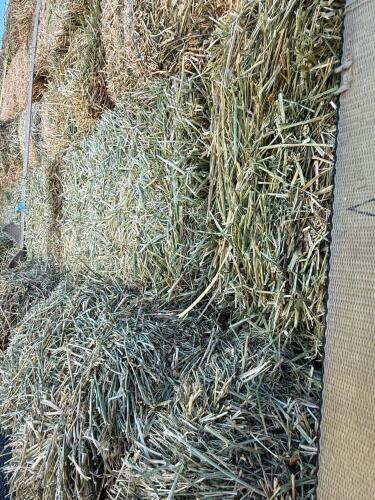 (30) Hay Bales - Baled 2025 Summer - avg 45-75lbs per bale - 8