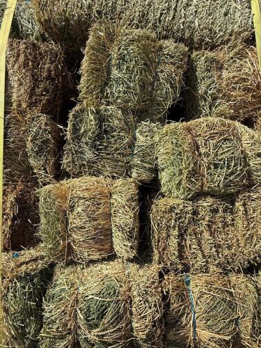 (30) Hay Bales - Baled 2025 Summer - avg 45-75lbs per bale - 5