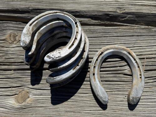 Incredible Lot of 30+ Horseshoes - Steel & Aluminum, Various sizes