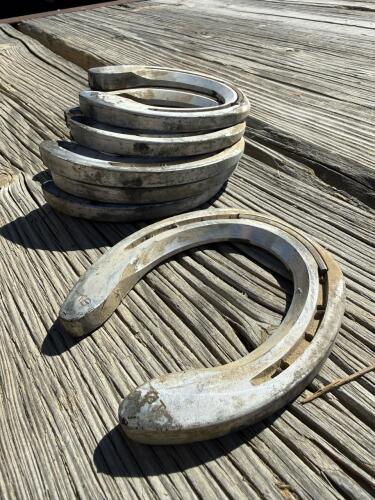 Incredible Lot of 30+ Horseshoes - Steel & Aluminum, Various sizes - 2