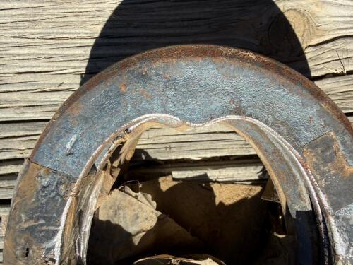 Incredible Lot of 30+ Horseshoes - Steel & Aluminum, Various sizes - 5