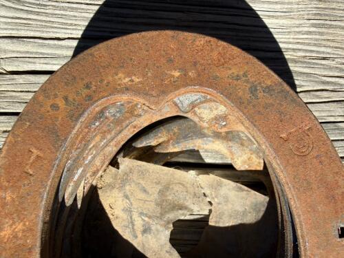 Incredible Lot of 30+ Horseshoes - Steel & Aluminum, Various sizes - 6