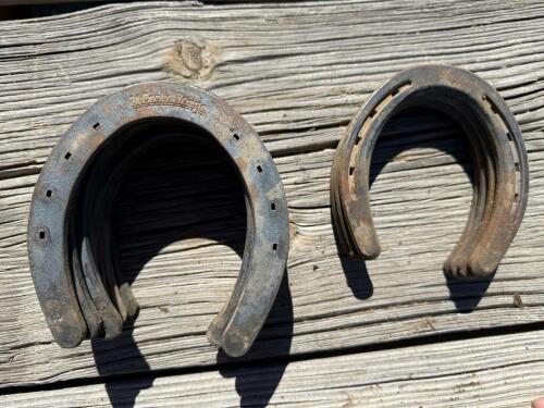 Incredible Lot of 30+ Horseshoes - Steel & Aluminum, Various sizes - 7