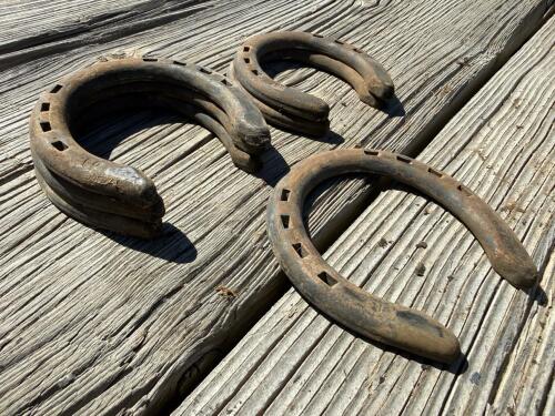 Incredible Lot of 30+ Horseshoes - Steel & Aluminum, Various sizes - 11