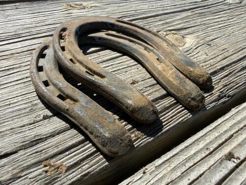 Incredible Lot of 30+ Horseshoes - Steel & Aluminum, Various sizes - 12