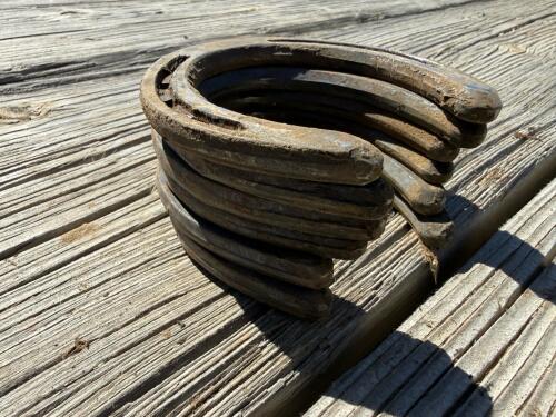 Incredible Lot of 30+ Horseshoes - Steel & Aluminum, Various sizes - 13