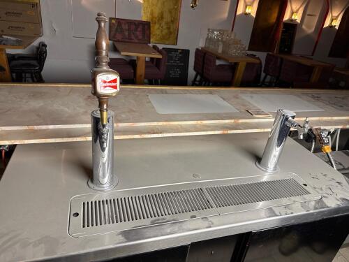 Perlick Commercial Beer Kegerator with 2 Taps, Stainless Steel Tower, and Black Powder-Coated Doors - 2