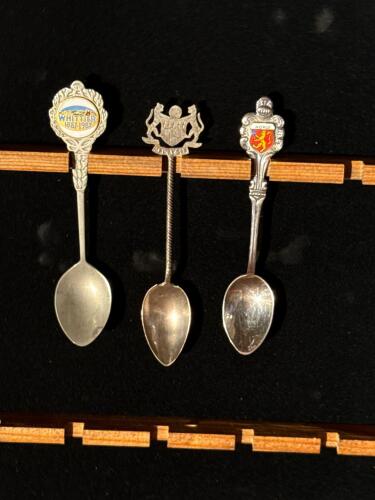 International Collectible Souvenir Spoon Set (15) with Wooden Display Case - 6