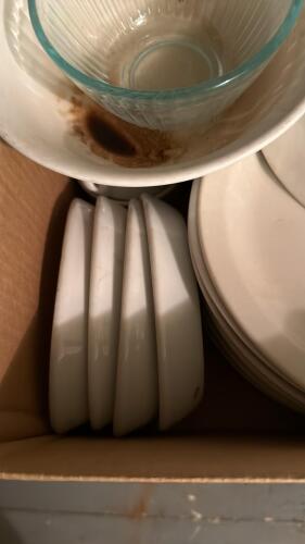Assortment of Restaurant Dishes - 3