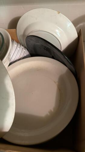 Assortment of Restaurant Dishes - 4