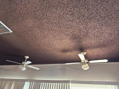 Two 42" White Ceiling Fan with 5 Blades and Single Light Globe, Pull Chain Control