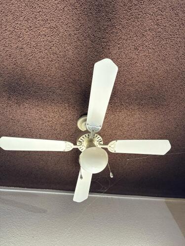 Two 42" White Ceiling Fan with 5 Blades and Single Light Globe, Pull Chain Control - 2