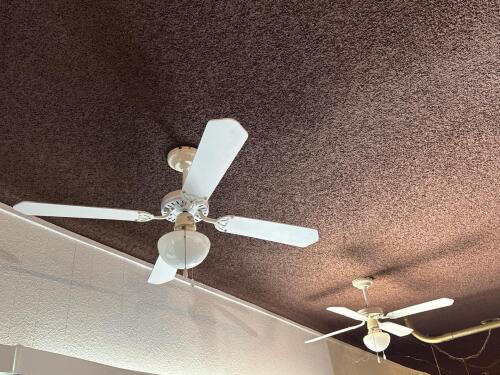 Two 42" White Ceiling Fan with 5 Blades and Single Light Globe, Pull Chain Control - 4