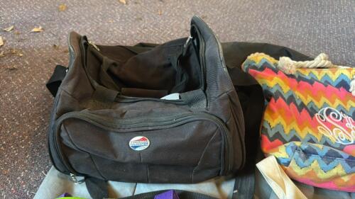 Lot of 11 Mixed Bags: American Tourister Duffel, Lascal Stroller Bag, Totes, Backpacks, Drawstrings - 2
