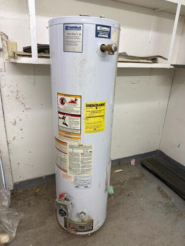 2 Hot Water Heaters, Contents on Shelves and Shingles - 3
