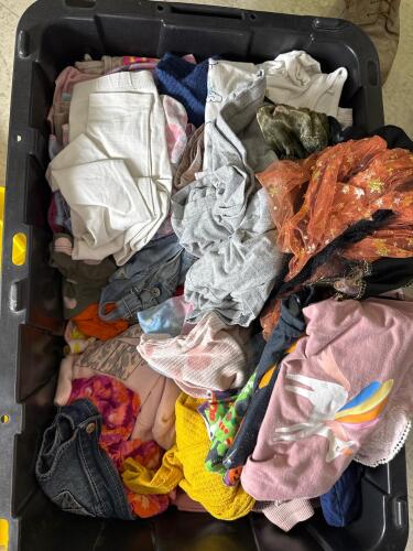Bulk Lot Toddler Girls' Clothes - 2