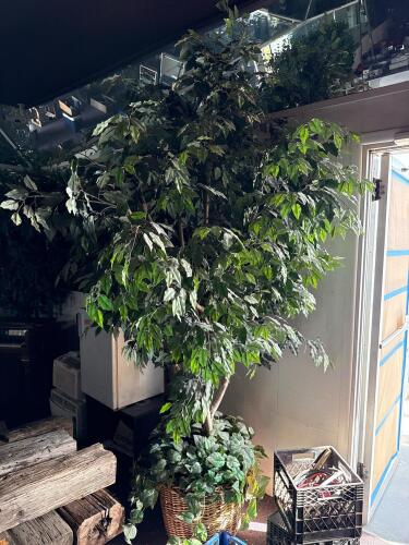 Large 7.5ft Artificial Ficus Tree with Wicker Basket Planter &ndash; Indoor Decorative Greenery