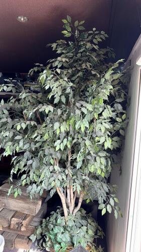 Large 7.5ft Artificial Ficus Tree with Wicker Basket Planter &ndash; Indoor Decorative Greenery - 4