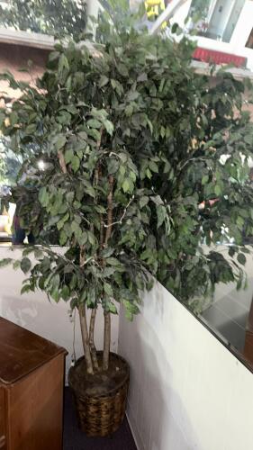 Artificial 6' Ficus Tree with Wicker Basket and String Lights &ndash; Indoor Decorative Plant