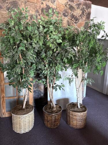 3 Large Artificial Indoor Trees - Ficus and Fern, 6 ft with Wicker Baskets, Realistic Foliage